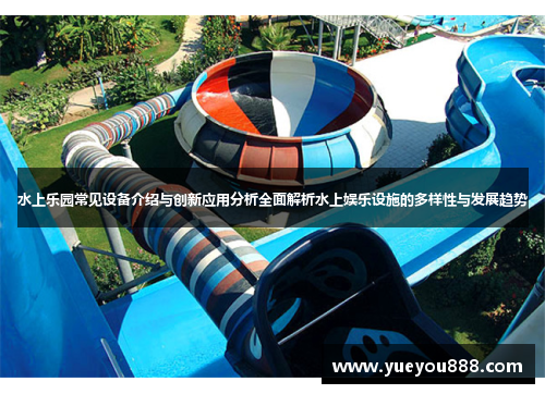 水上乐园常见设备介绍与创新应用分析全面解析水上娱乐设施的多样性与发展趋势