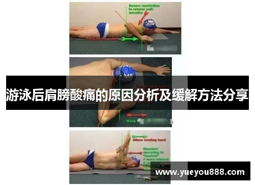 游泳后肩膀酸痛的原因分析及缓解方法分享