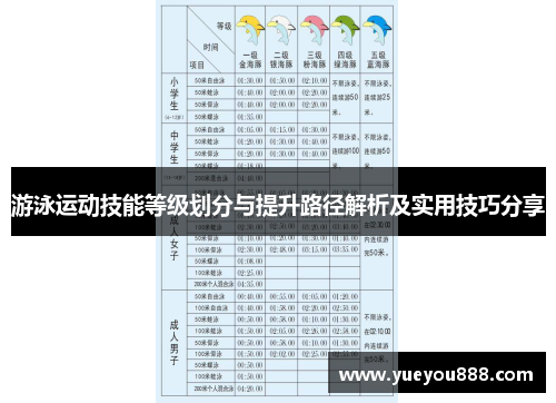 游泳运动技能等级划分与提升路径解析及实用技巧分享