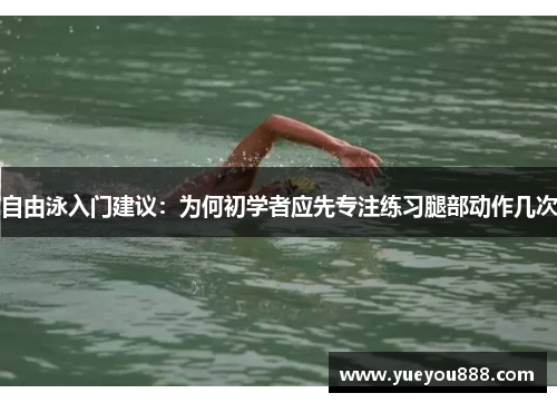 自由泳入门建议：为何初学者应先专注练习腿部动作几次