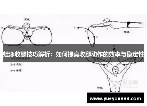 蛙泳收腿技巧解析：如何提高收腿动作的效率与稳定性